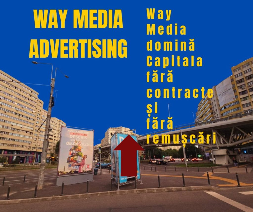 Way Advertise Production SRL: Antoanela Vasilescu și Controversele din Publicitatea Outdoor fără Avize