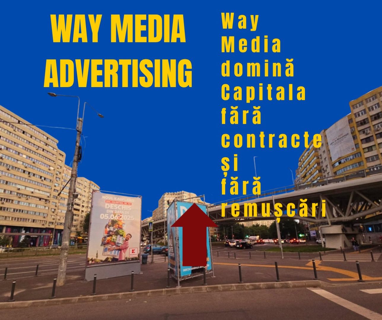 Way Advertise Production SRL: Antoanela Vasilescu și Controversele din Publicitatea Outdoor fără Avize